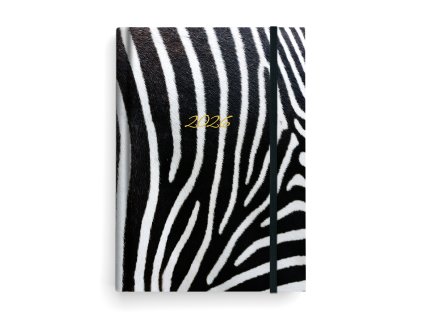 BTP9 12 26 Zebra