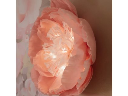 Photo15 11 2023 112513pm.jpg