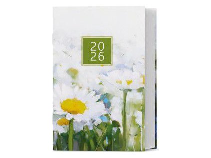 BTG9 1 26 17505325 big