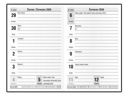 Týdenní diář Gustav - lamino - Mozaika,  75 x 115 mm