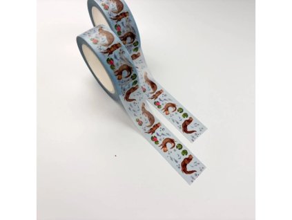 4709 washi paska vydry