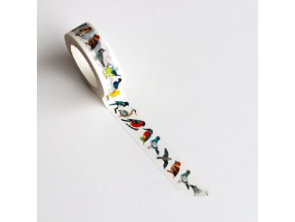 1361 1 washi paska