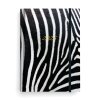 BTP9 12 26 Zebra