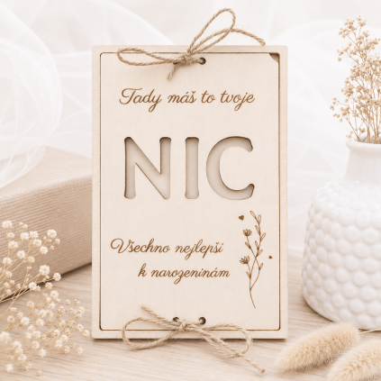 prani na penize nic