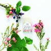 Biorythme - 100% přírodní deodorant Růžová zahrada