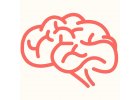 Mozek a nervový systém