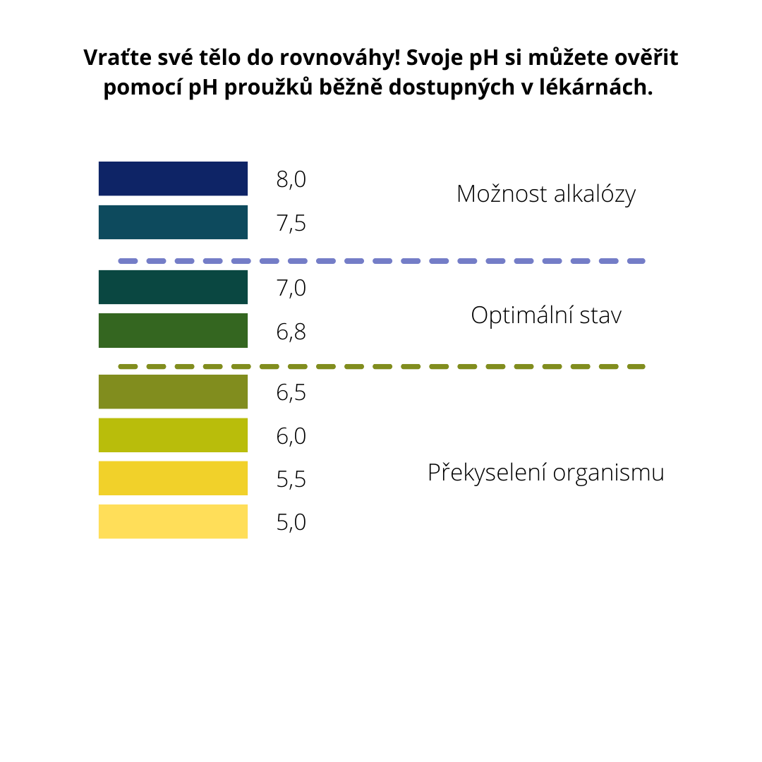 optimalni_ph_tela_pruzky_graf_vyhodnoceni_test