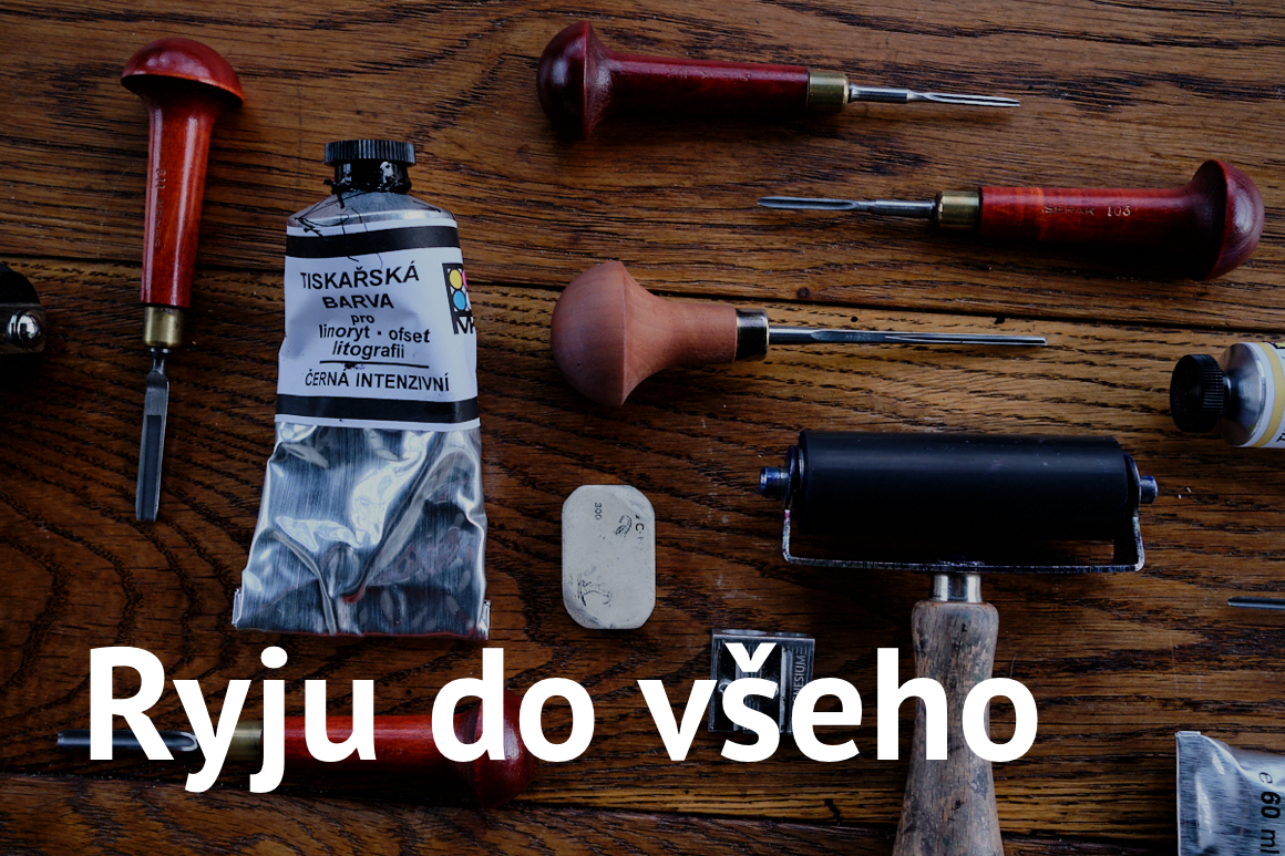 Ryju do všeho