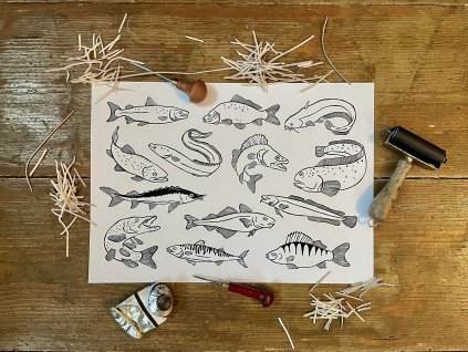 318950254 1879481329111011 4617384448966673633 n