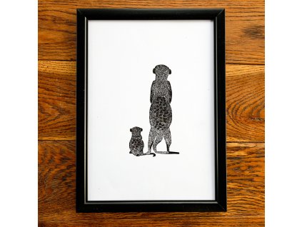 Zahleděné surikaty A4