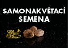 SAMONAKVÉTACÍ SEMENA