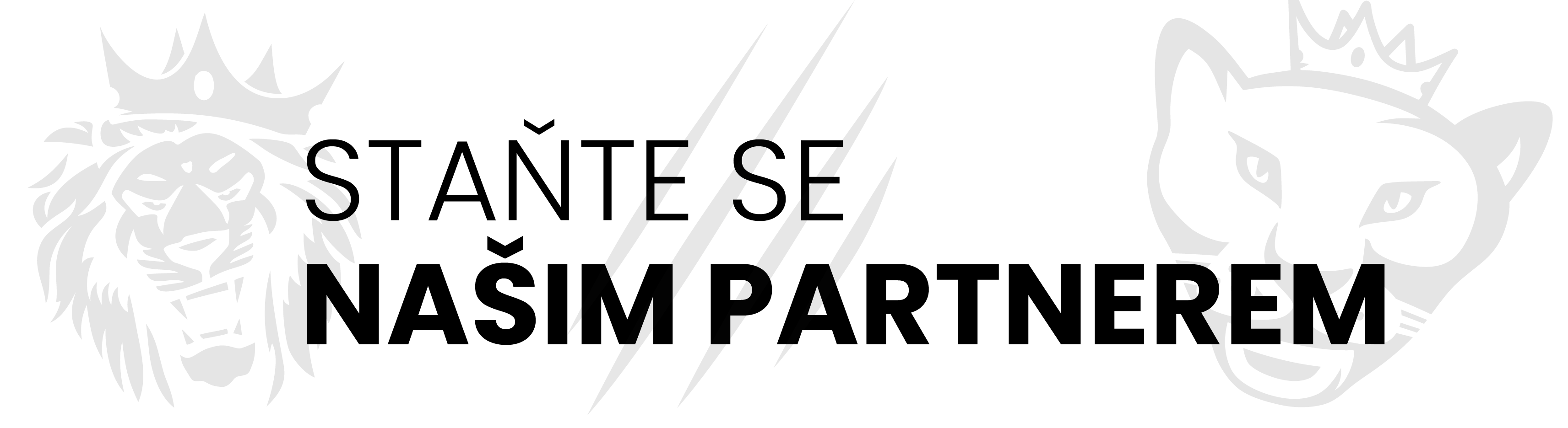 LIoness_parfemy_partnerstvi