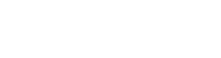 LIONGUNS