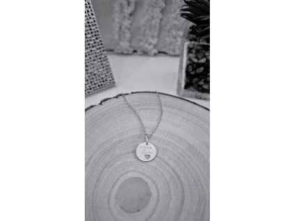 Přívěsek CARPE DIEM