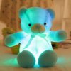 Plyšový svítící LED medvěd 30 cm plyšák