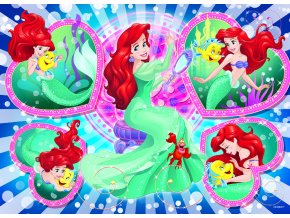 80786 lisciani ariel eco puzzle oboustranne 60