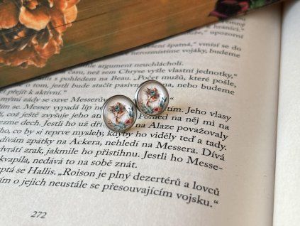 Kočička a květiny