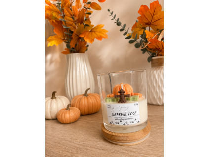Barevné pole - sójová svíčka 120ml