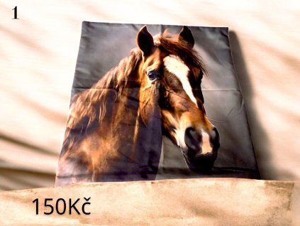 Polštář 1 Photoroom