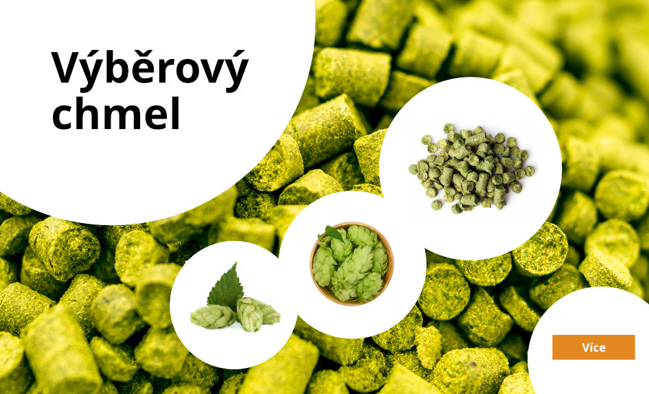 Výběrový chmel