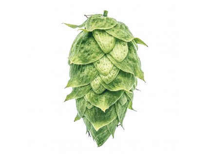 Chmel Super Styrian Aurora (Perle) T45, Alfa 10%,2019, 5 kg