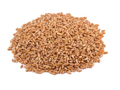 malt2