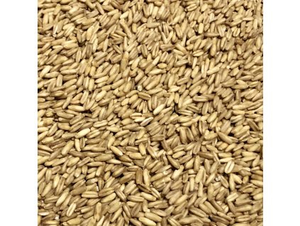 Slad Lafood Oat, 25 kg