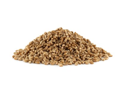 malt3