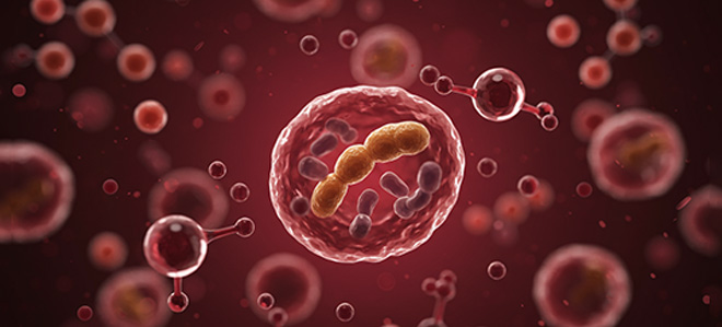 Které složení je účinné během rehydratace kvasinek?