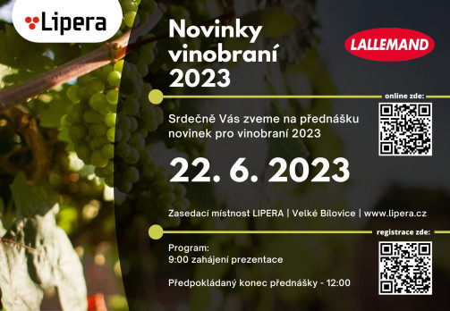 Lallemand vinobraní 2023