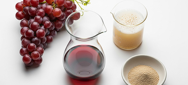 Prozkoumávání vesmíru jiného než Saccharomyces