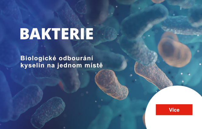 bakterie