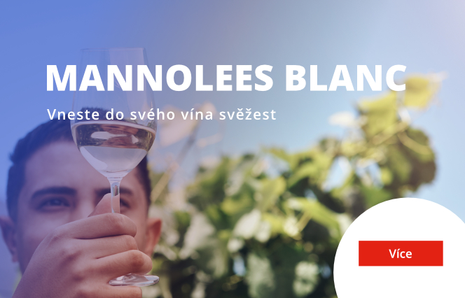 manolees blanc
