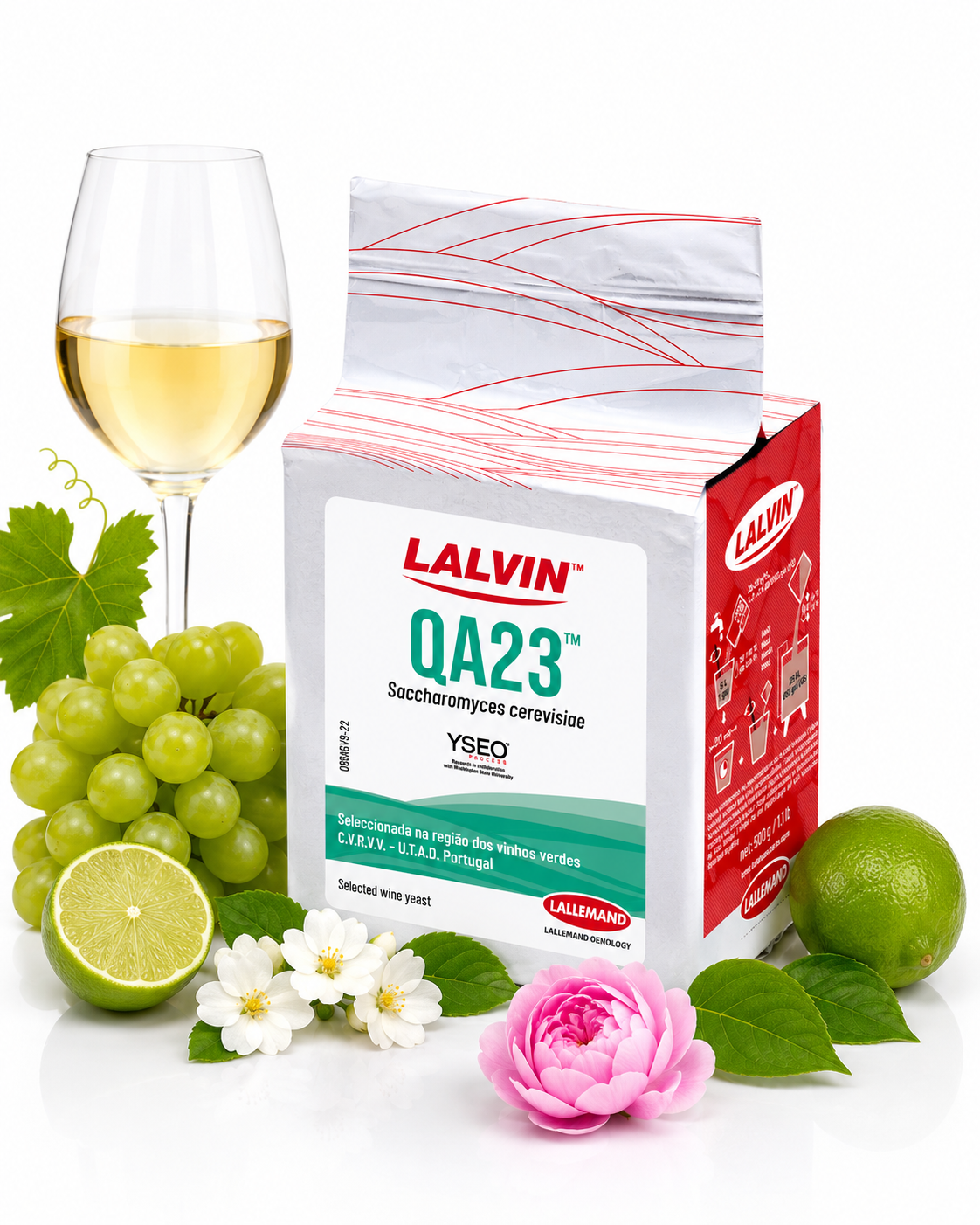 QA23