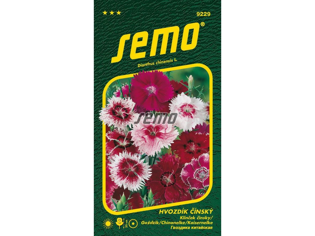 9229 semo kvetiny letnicky hvozdik cinsky smes barev