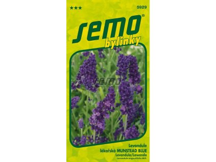 5929 semo bylinky levandule lekarska munstead blue