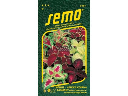 Semo 9187 Koleus africka kopriva Rainbow smes
