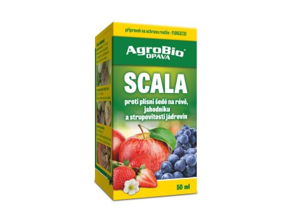 Scala 50ml