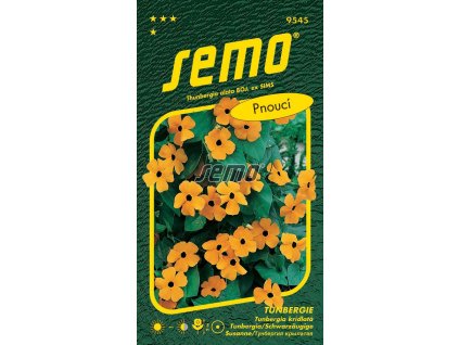 9545 semo kvetiny letnicky tunbergie cernooka zuzana oranzova s okem