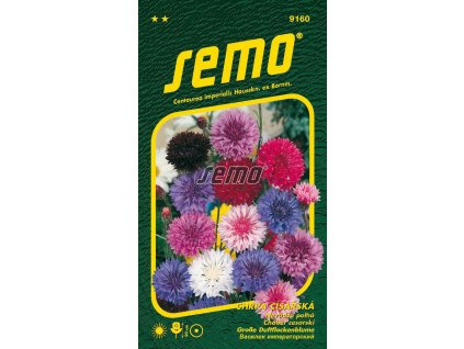 9160 semo kvetiny letnicky chrpa cisarska smes barev