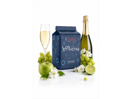 bollicine