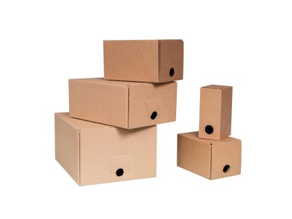 20 L KARTON na BAG IN BOX