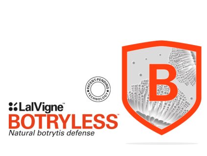 LalVigne Botryless patent pending 1