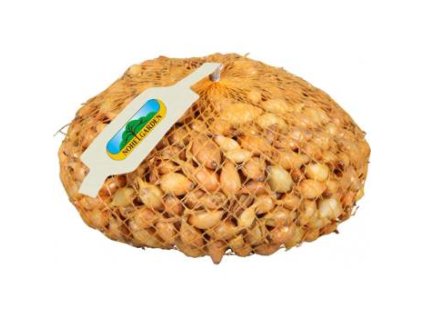 b8736a2b 037f 4a16 9d48 748c0aa6d8ee