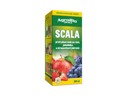 Scala 250ml