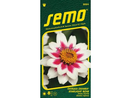 9591 semo kvetiny letnicky ostalka zahara starlight rose