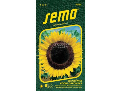 9292 semo kvetiny letnicky slunecnice rocni obrovska