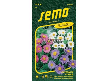 9740 semo kvetiny trvalky hvezdnice alpska smes barev 269x500
