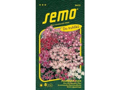 9470 semo kvetiny letnicky plamenka flox cuspidata smes 269x500