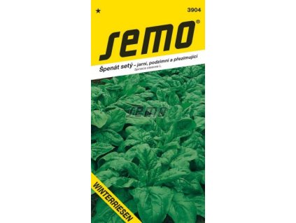 3904 semo zelenina spenat sety winterriesen 256x500